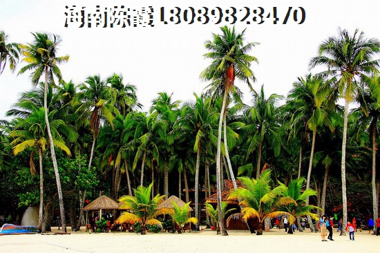 珊瑚海