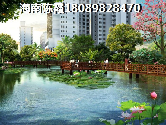 文昌珊瑚海商鋪