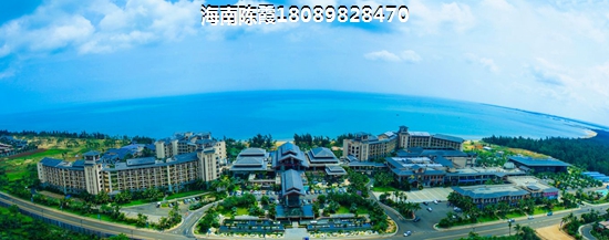 尚運上品好不好