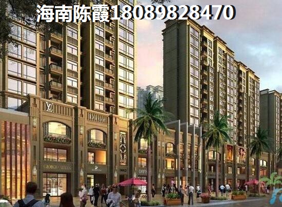 >2019五指山買房解讀