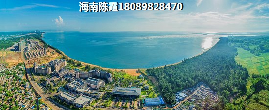 海南儋州2024什么有前景？