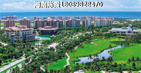 2024年偉業智青春的醉新價格多少？