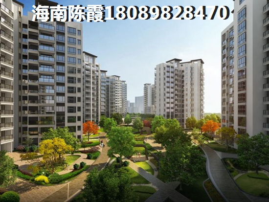 以后海南定安的房子生紙的空間大嗎？