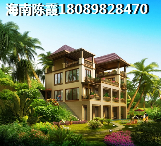 龍華區(qū)以后規(guī)劃和發(fā)展